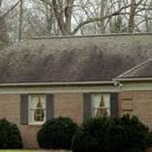 algae-on-roof-columbia-sc